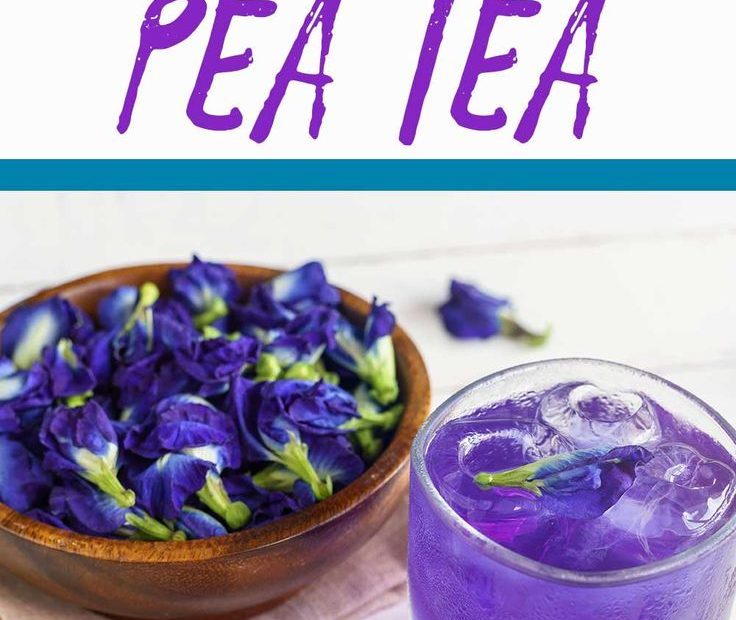 How To Make Butterfly Pea Tea. | Recipe | Butterfly Pea Tea, Tea Recipes, Butterfly  Pea