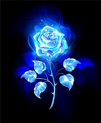 Blue Rose Vector Images (Over 25,000)