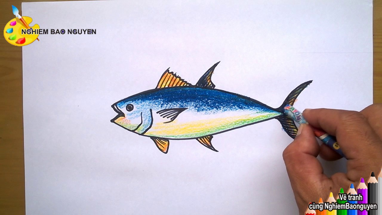 Vẽ Con Cá Ngừ/How To Draw Tuna - Youtube