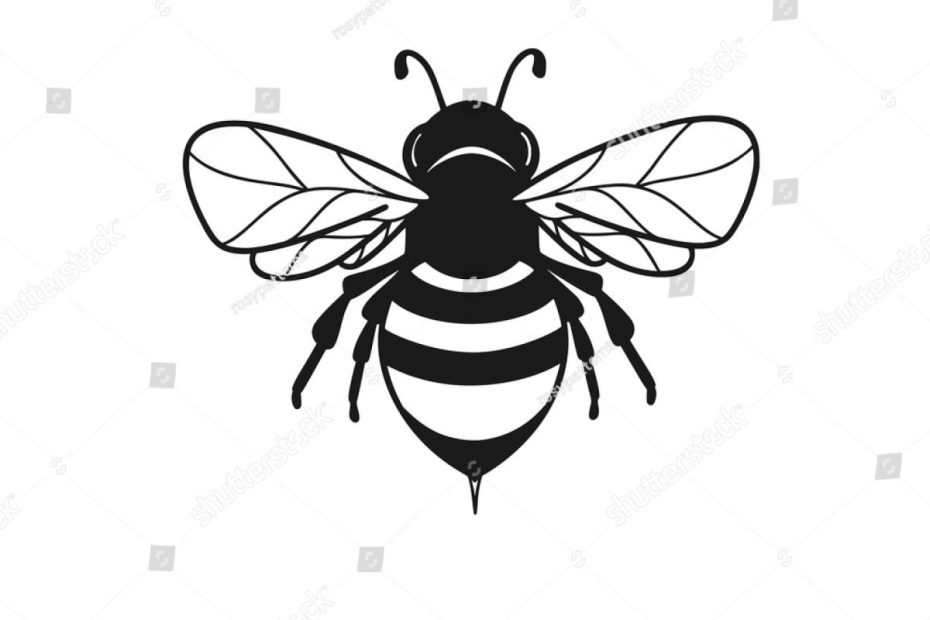 1,972 Black White Bee Clipart Images, Stock Photos & Vectors | Shutterstock