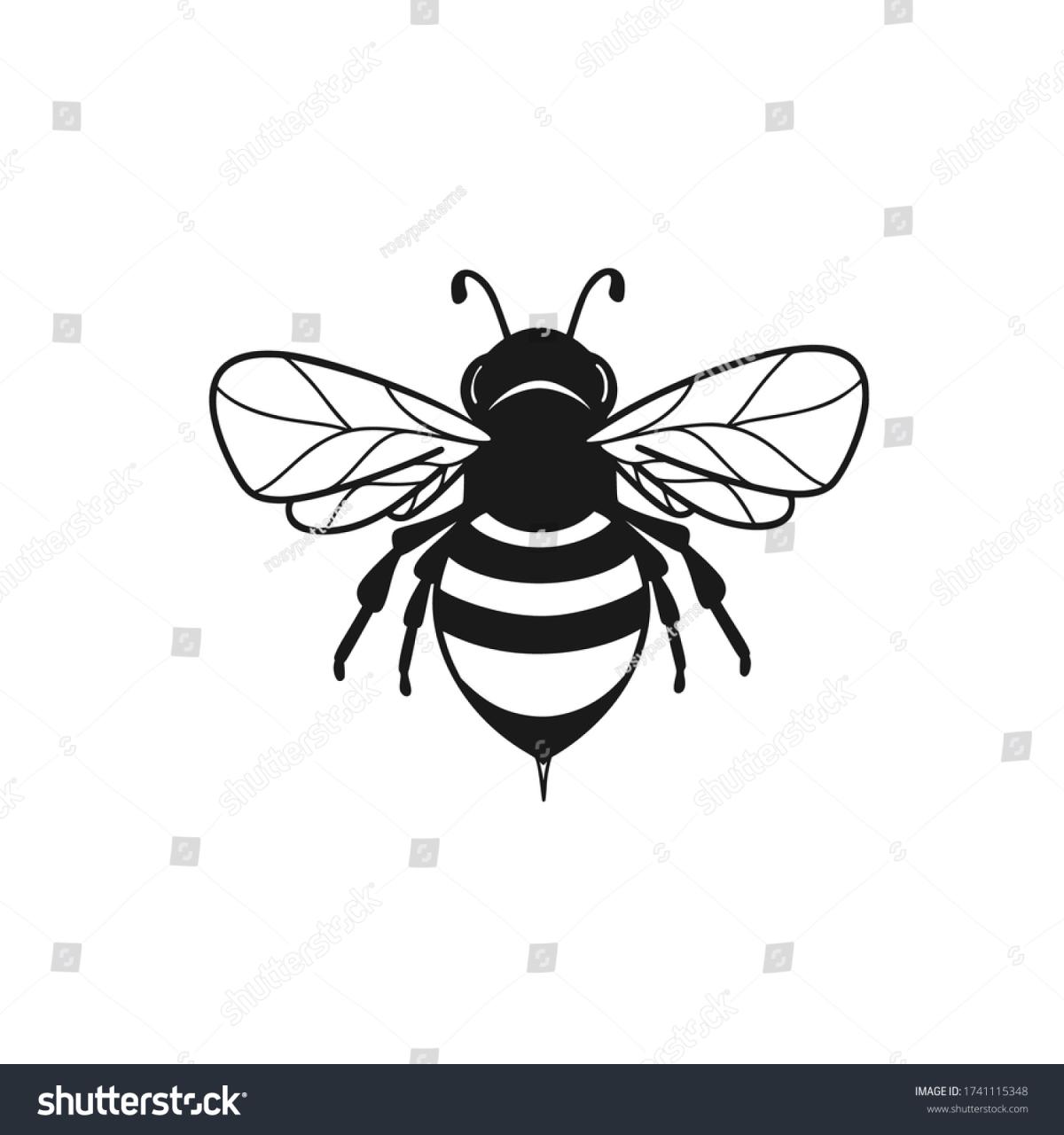 1,972 Black White Bee Clipart Images, Stock Photos & Vectors | Shutterstock